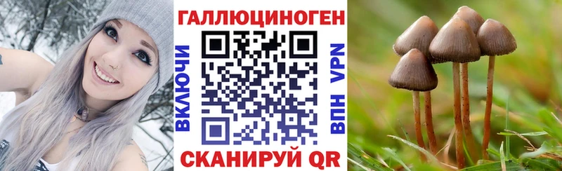 Купить закладки  Назарово  Псилоцибиновые грибы Magic Shrooms 